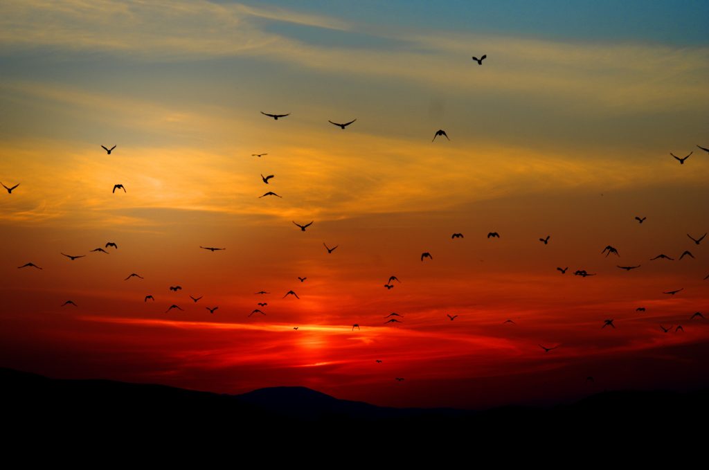 img src="realestatephotoediting.jpg" alt="sunset sky"